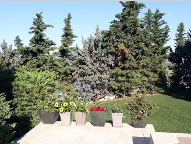 Villa Corina Near The Airport Kouvarás 外观 照片
